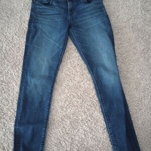 Hudson Classic Blue Women's Jeans